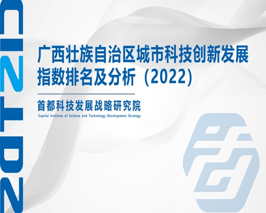 日韩B乃【成果发布】广西壮族自治区城市科技创新发展指数排名及分析（2022）